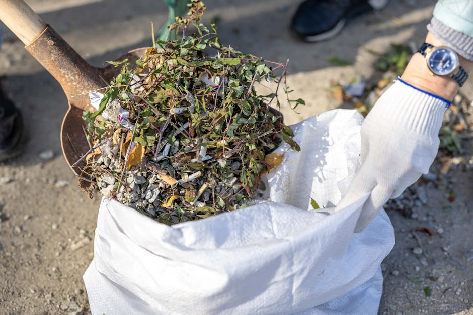 https://rubbishclearancepimlico.com/blog/instant-online-quote-for-pimlico-waste-removal-under-15-mins/